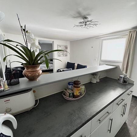 Appartement Detox Au Pied Du Semnoz Seynod Exteriör bild