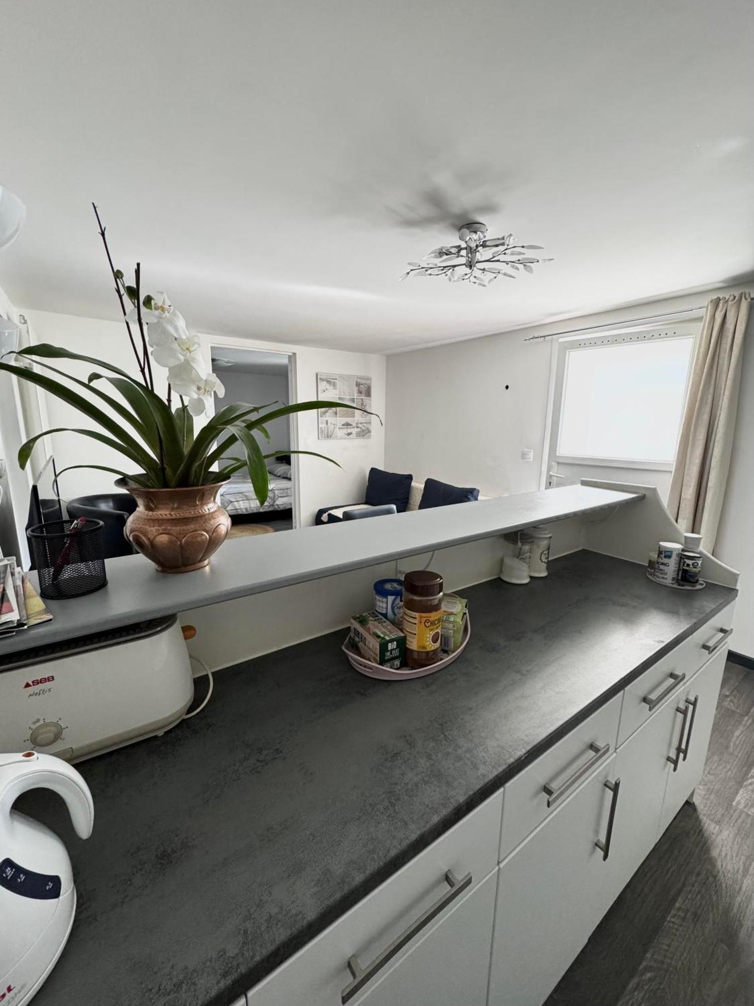 Appartement Detox Au Pied Du Semnoz Seynod Exteriör bild